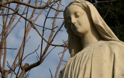 Marie est-elle sans péché ?