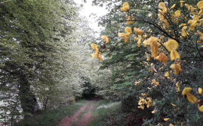 Dimanche 26 avril : En ce 3ème dimanche de Pâques « Tu m&rsquo;apprends, Seigneur le chemin de la vie »