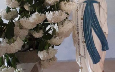 Lundi 1er juin : Bienheureuse vierge Marie, Mère de l&rsquo;Eglise priez pour nos défunts !