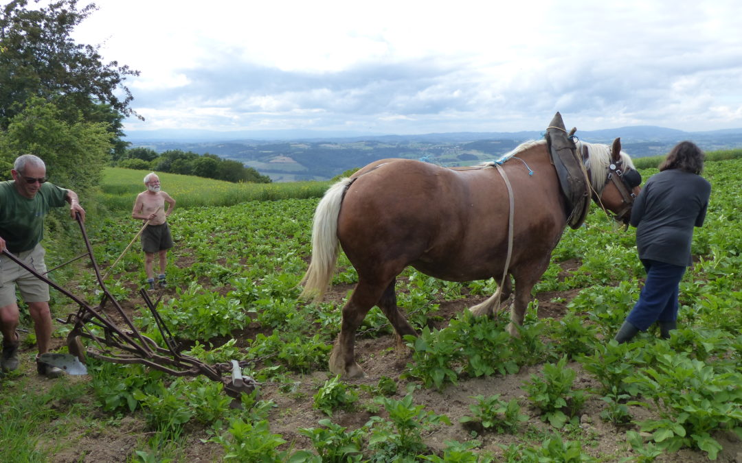 Se rendre sensible à la clameur de la Terre et des pauvres